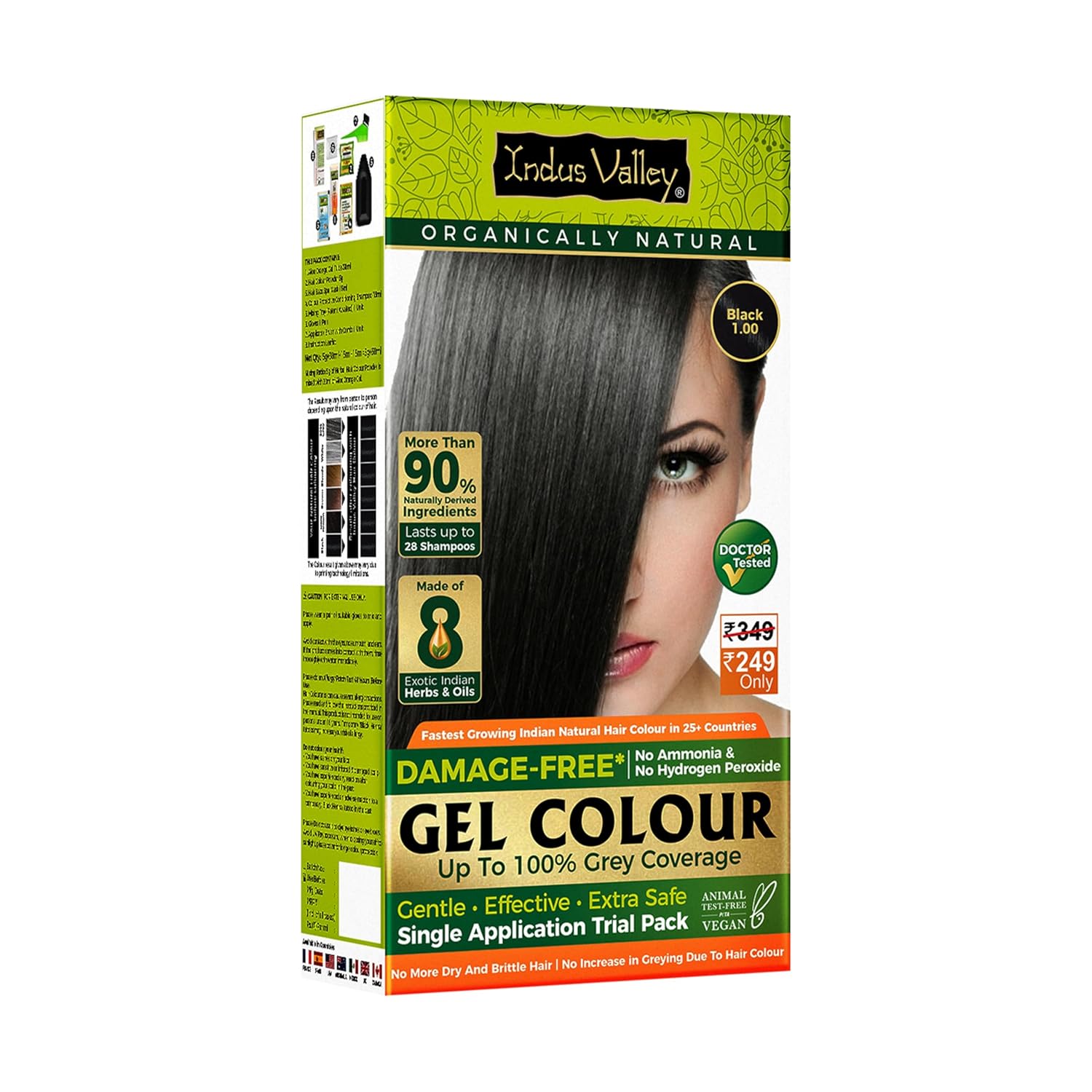 INDUS VALLEY Damage Free Natural Gel Hair Colour for Women | Ammonia & PPD Free Organic Hair Colour with 100% Grey Coverage, Long Lasting Hair Color Trial Pack (Black, 65 ml)
